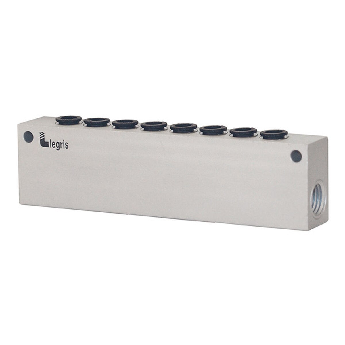 Legris Modular Manifold | Austenitex